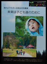 ���Τ褦������������̿�ŸDVD